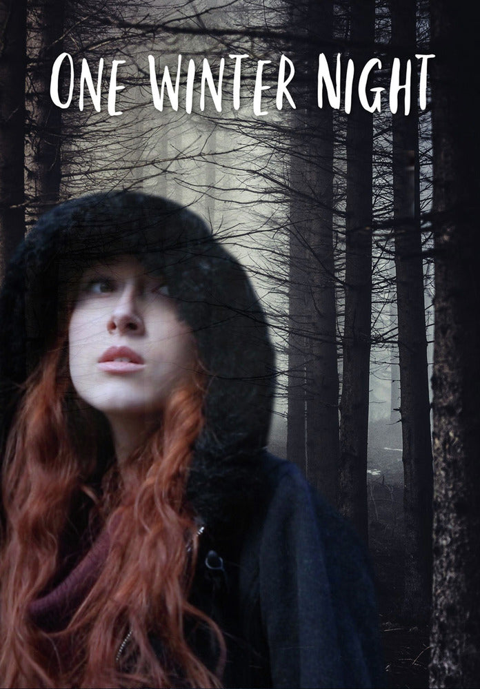 One Winter Night cover art