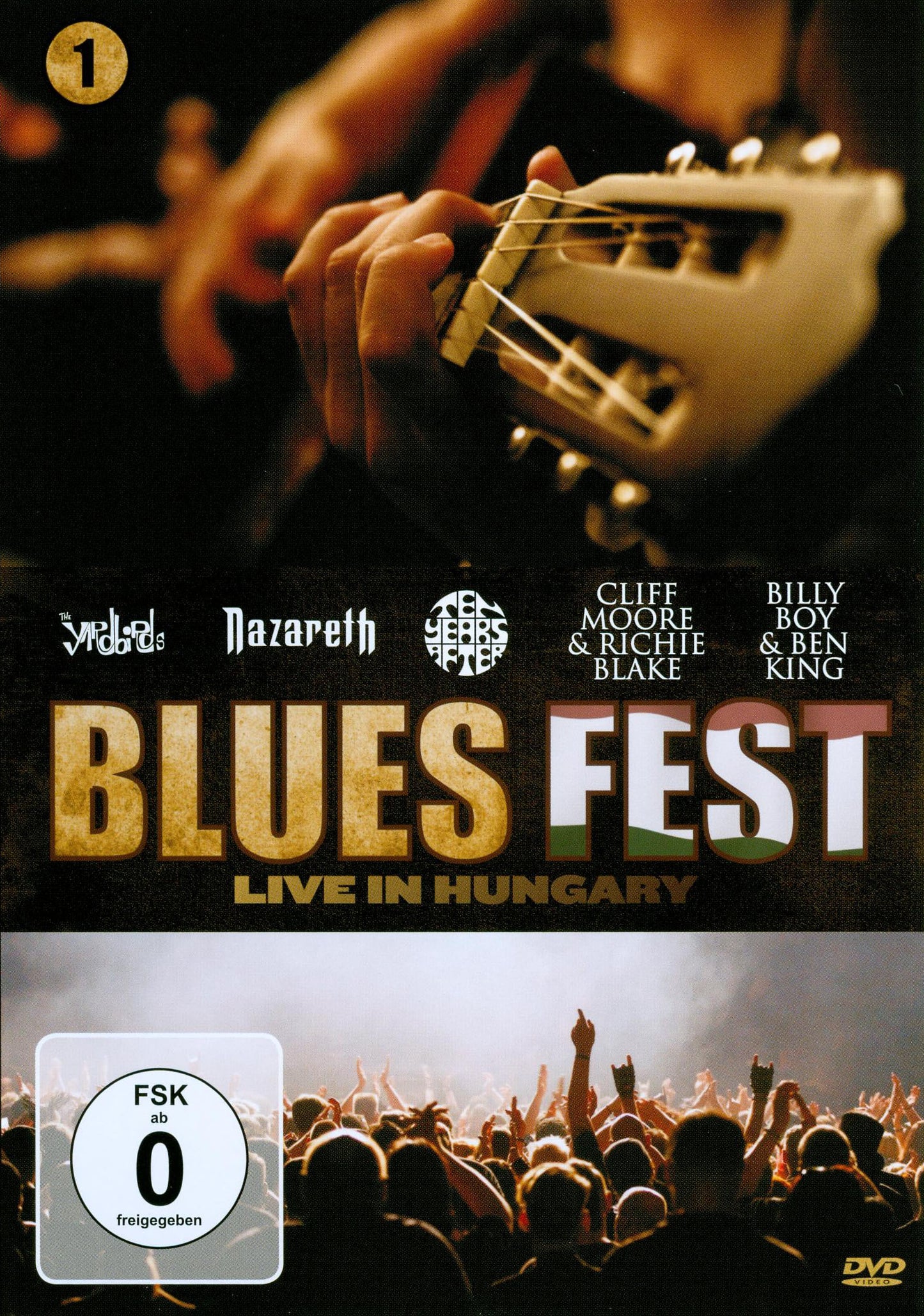 Blues Fest: Live in Hungary cover art