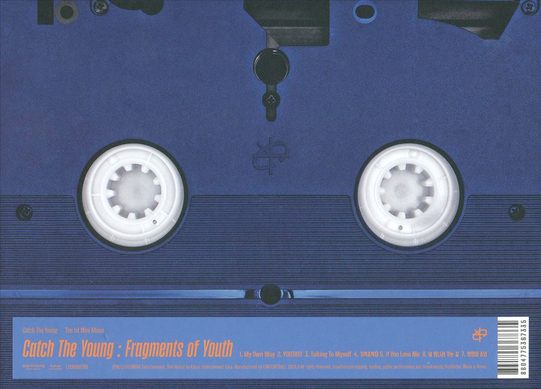 Catch the Young : Fragments Of cover art