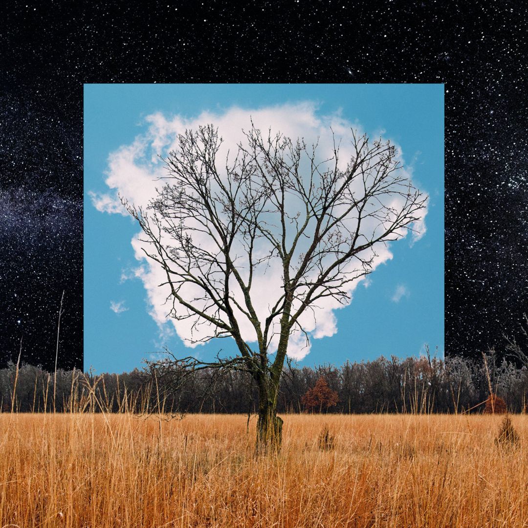 Bloom Innocent cover art