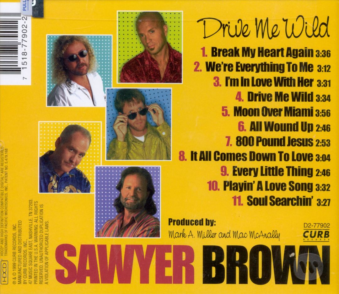 Drive Me Wild cover art