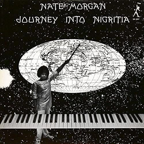 Journey into Nigritia cover art