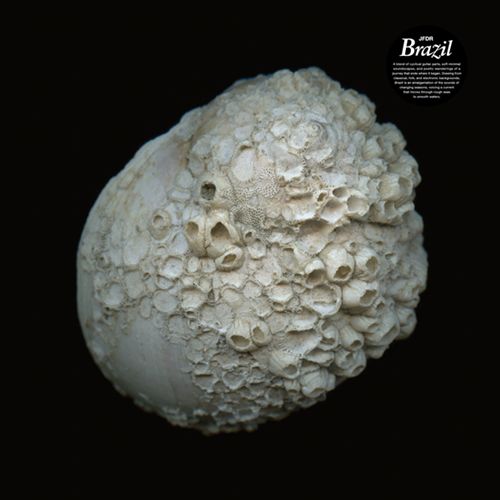 Brazil cover art
