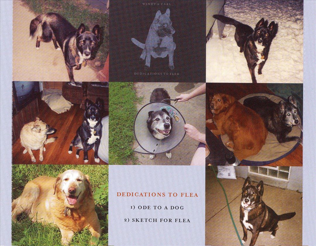 Dream House/Dedications to Flea cover art
