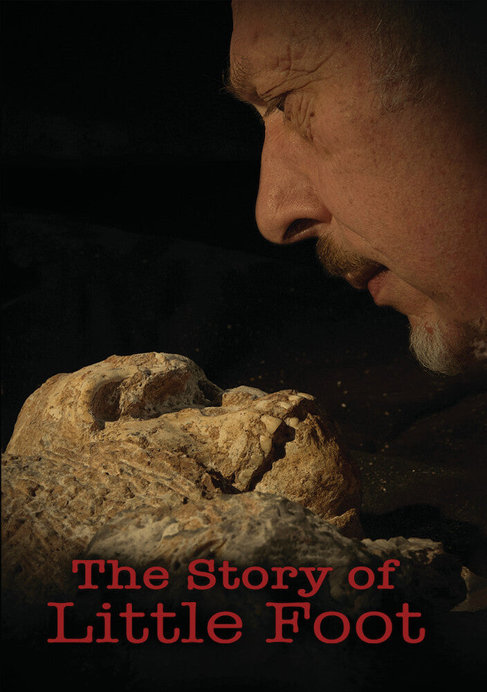 Story of Little Foot cover art