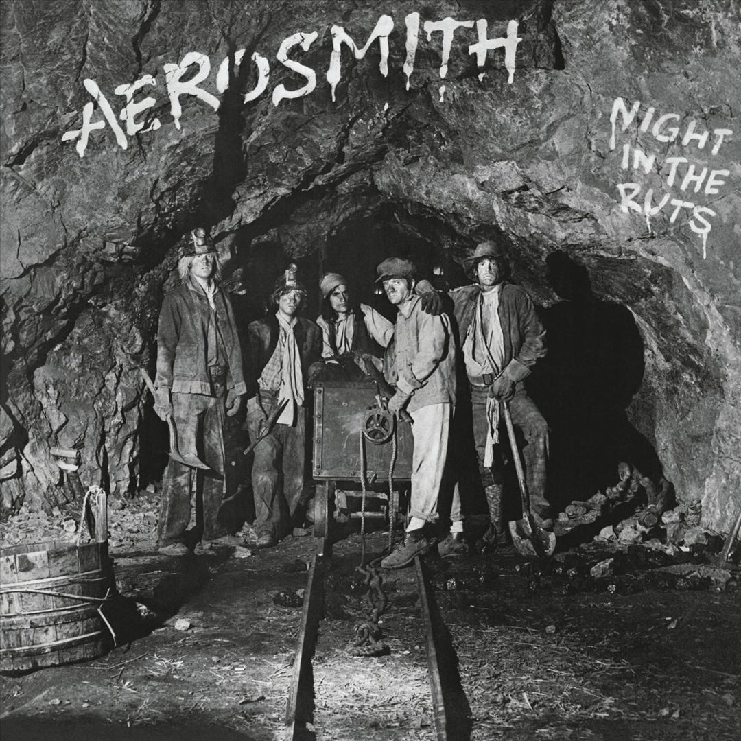 Night in the Ruts cover art