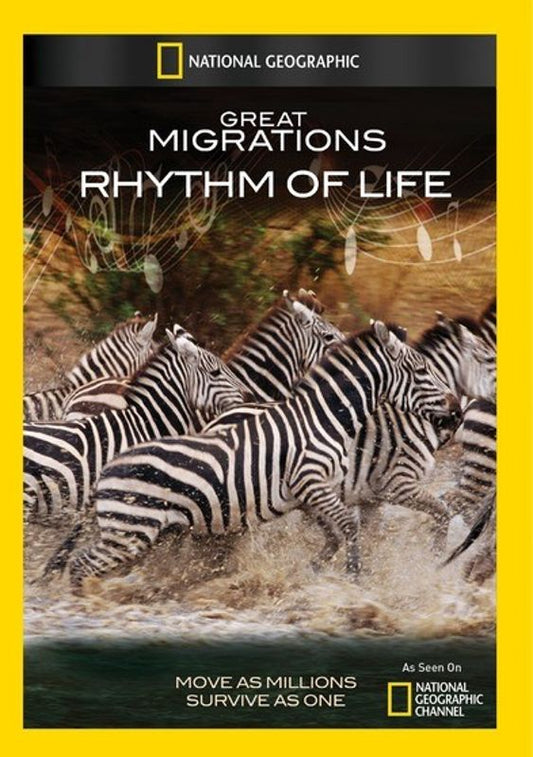 Great Migrations: Rhythm of Life cover art