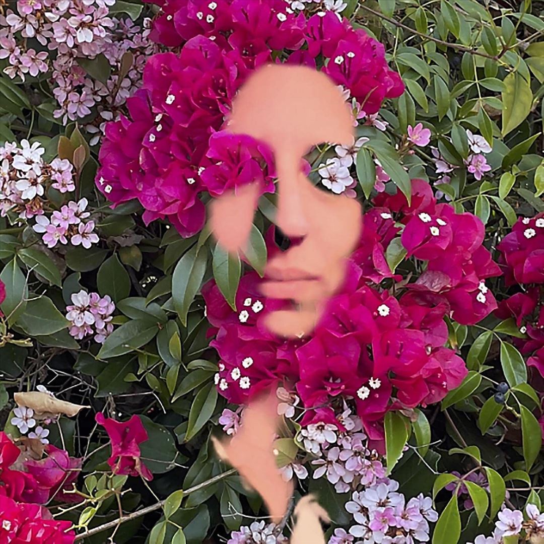 You Are the Flower: Music from Hildegard von Bingen, Vol. 1 cover art
