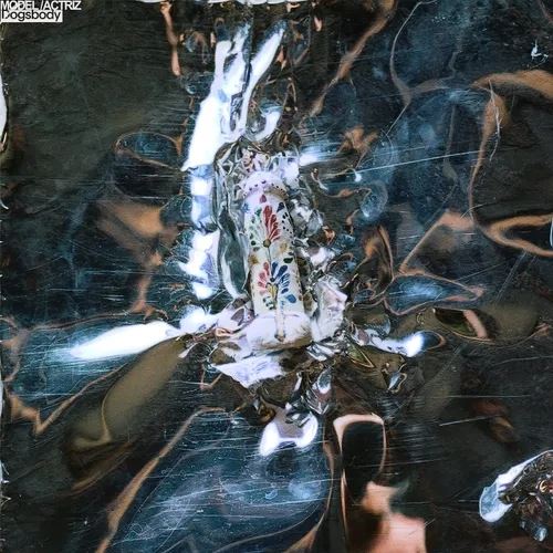 Dogsbody cover art