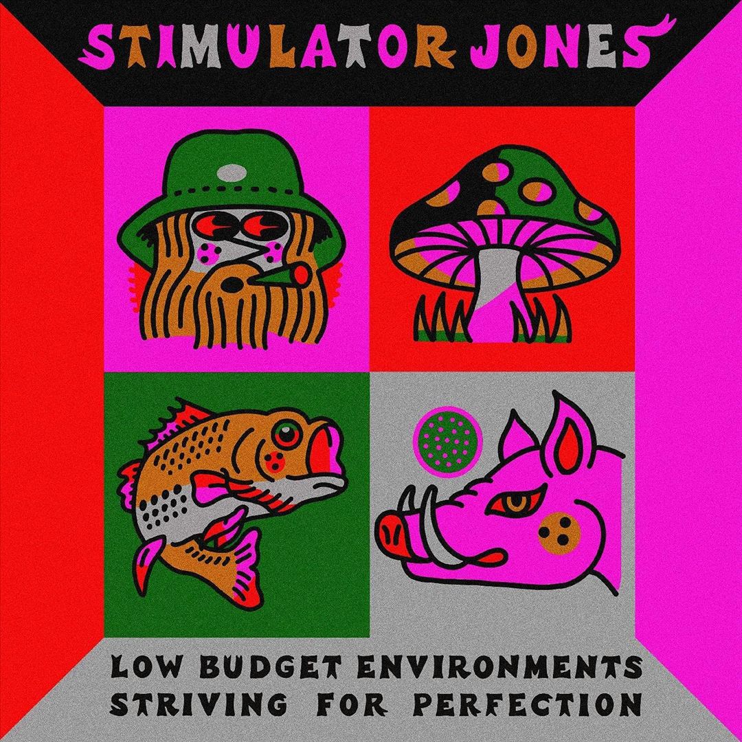 Low Budget Environments Striving for Perfection cover art