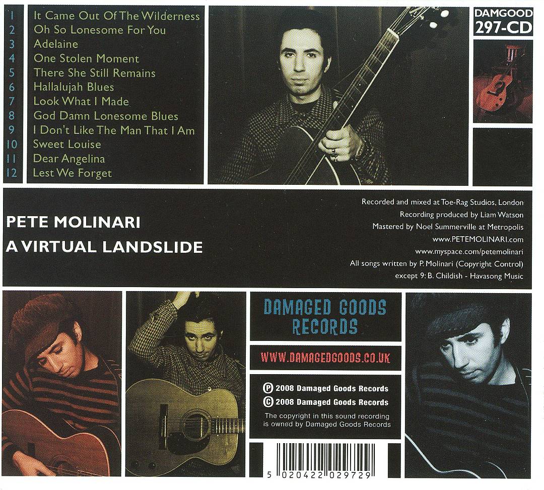 Virtual Landslide cover art
