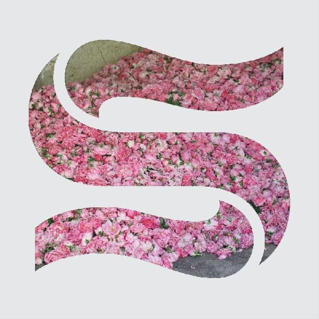 Step by Step cover art