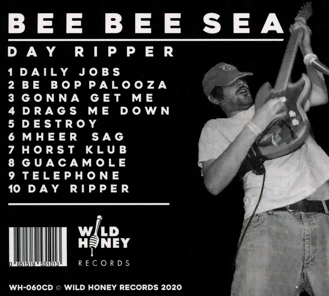 Day Ripper cover art