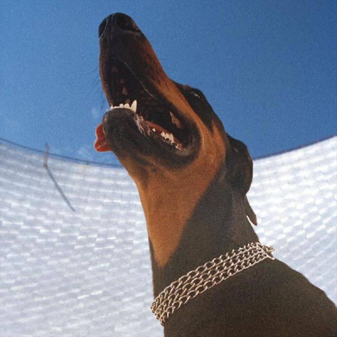 Good Lies cover art