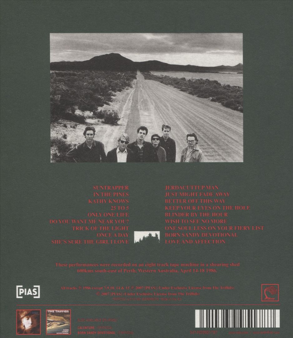 In the Pines cover art