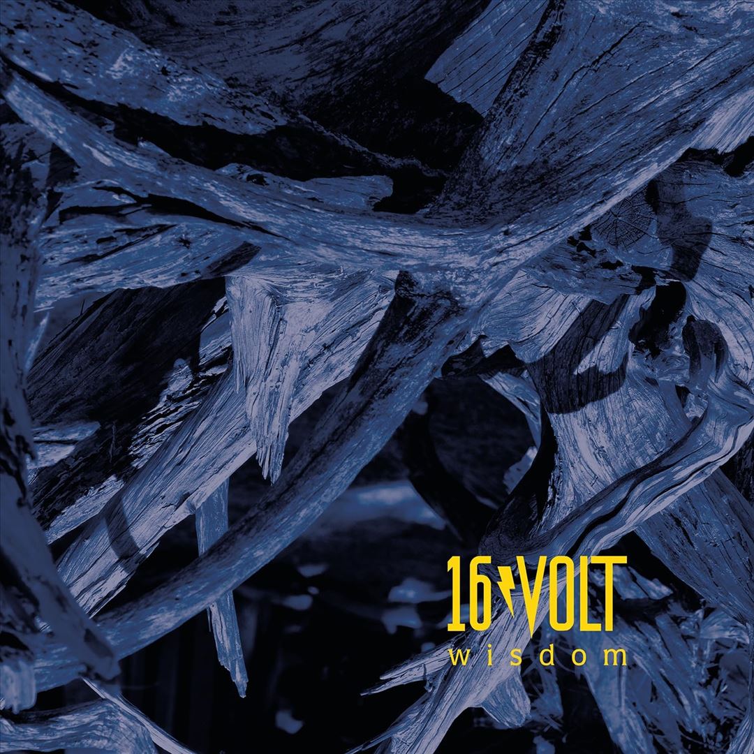 Wisdom [Yellow Vinyl] cover art