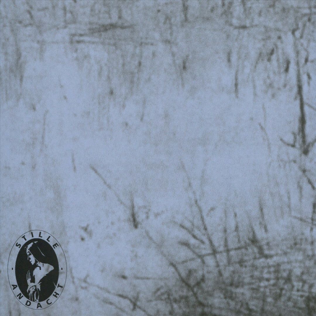 Bleiche Brunnen cover art