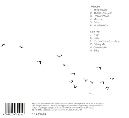Believers cover art