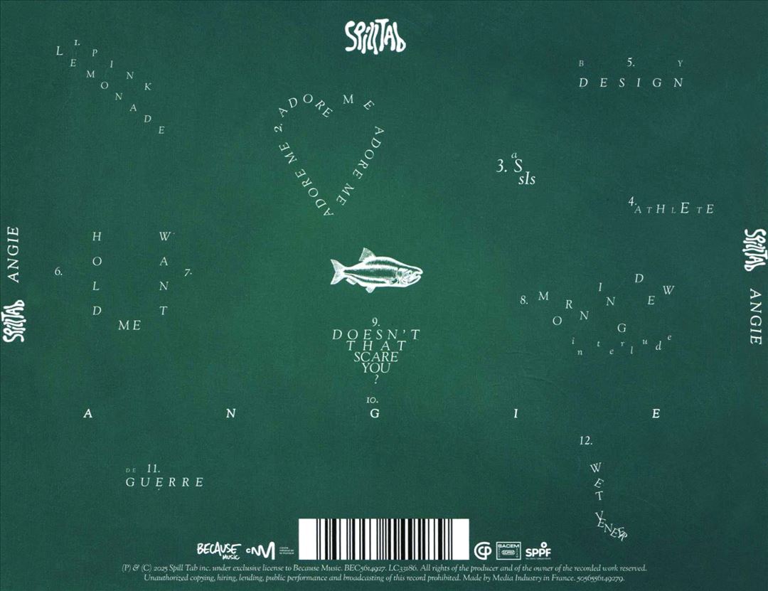 ANGIE cover art