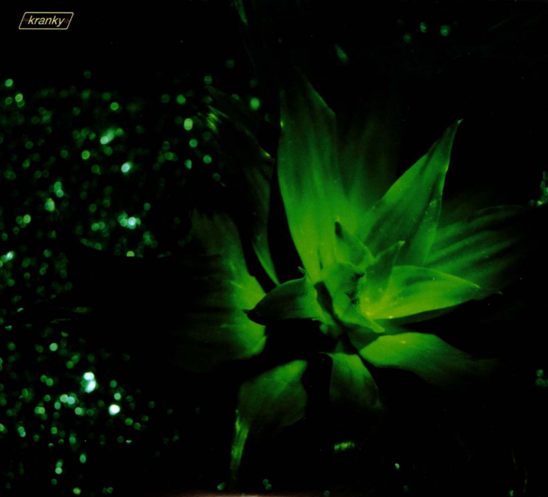 Tragedy and Geometry cover art