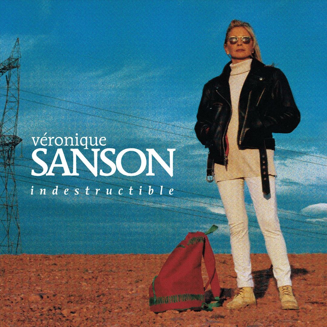 Indestructible cover art