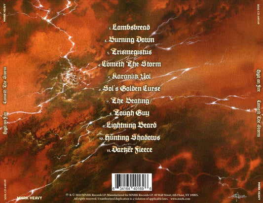 Cometh the Storm cover art