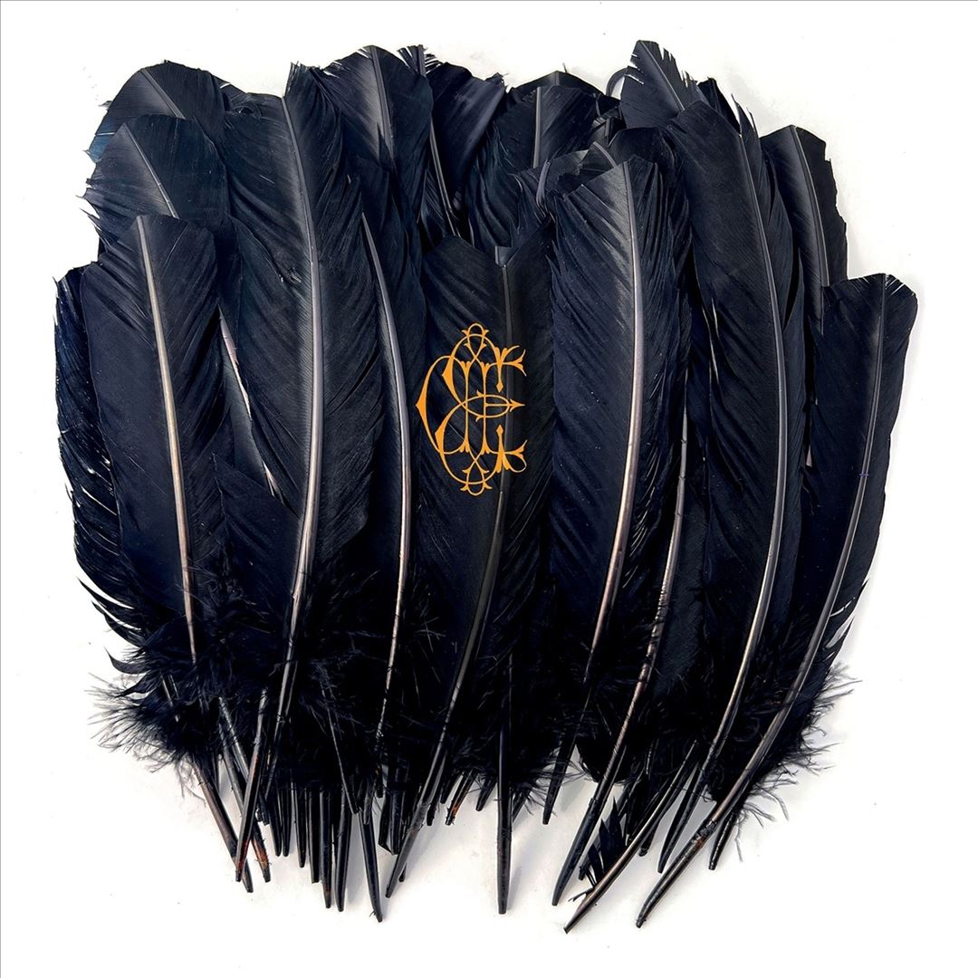 Hyacinth cover art
