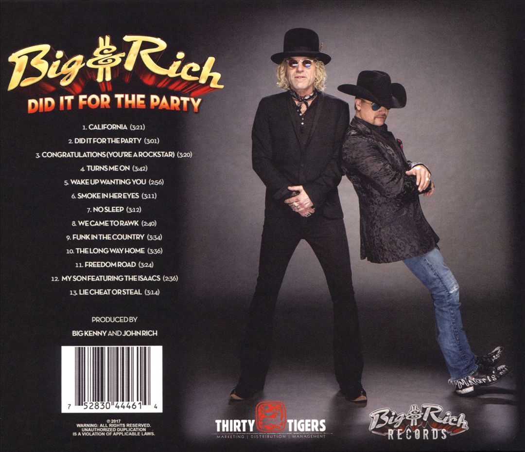 Did It for the Party cover art