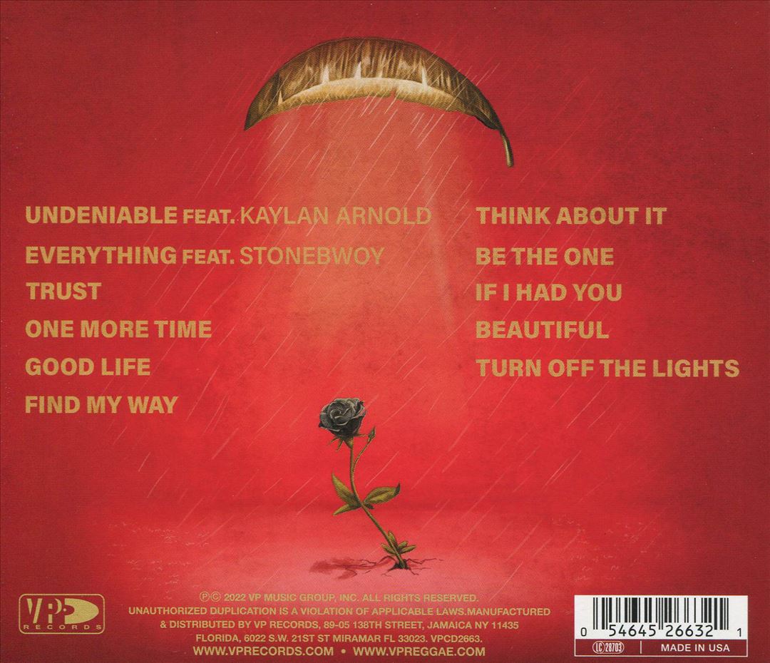 Undeniable cover art
