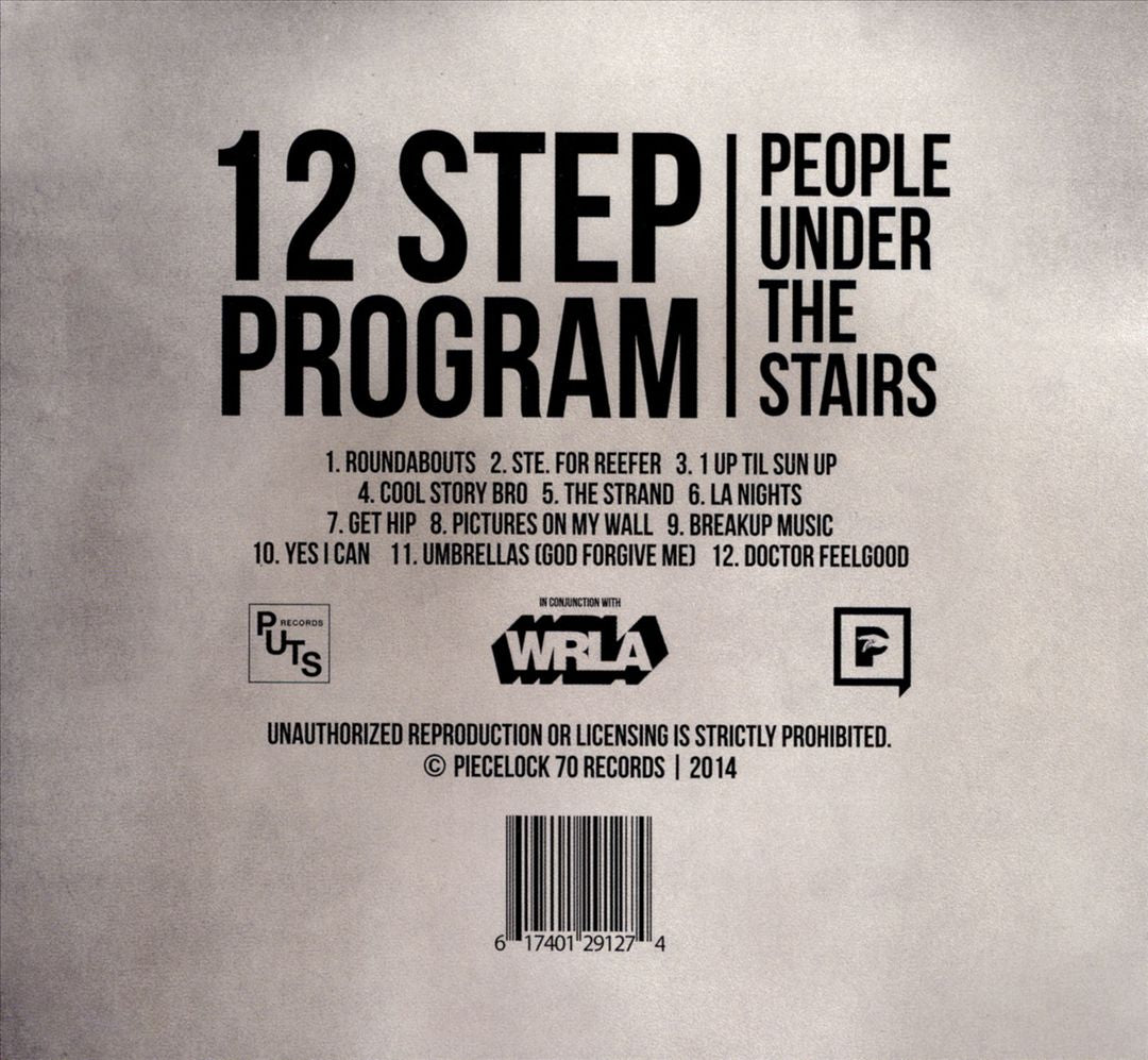 12 Step Program cover art