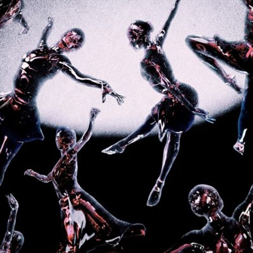 Optimist cover art