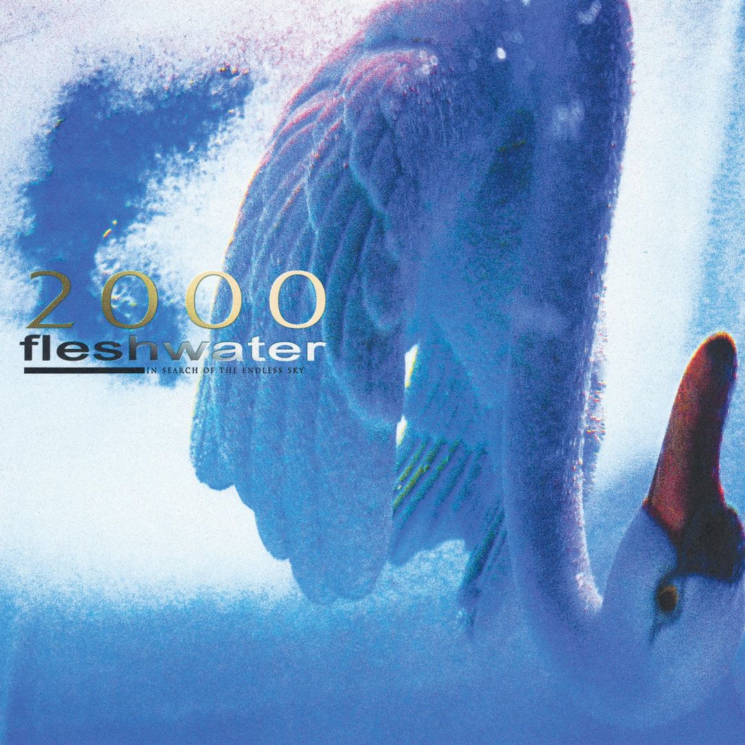 2000: In Search of the Endless Sky cover art