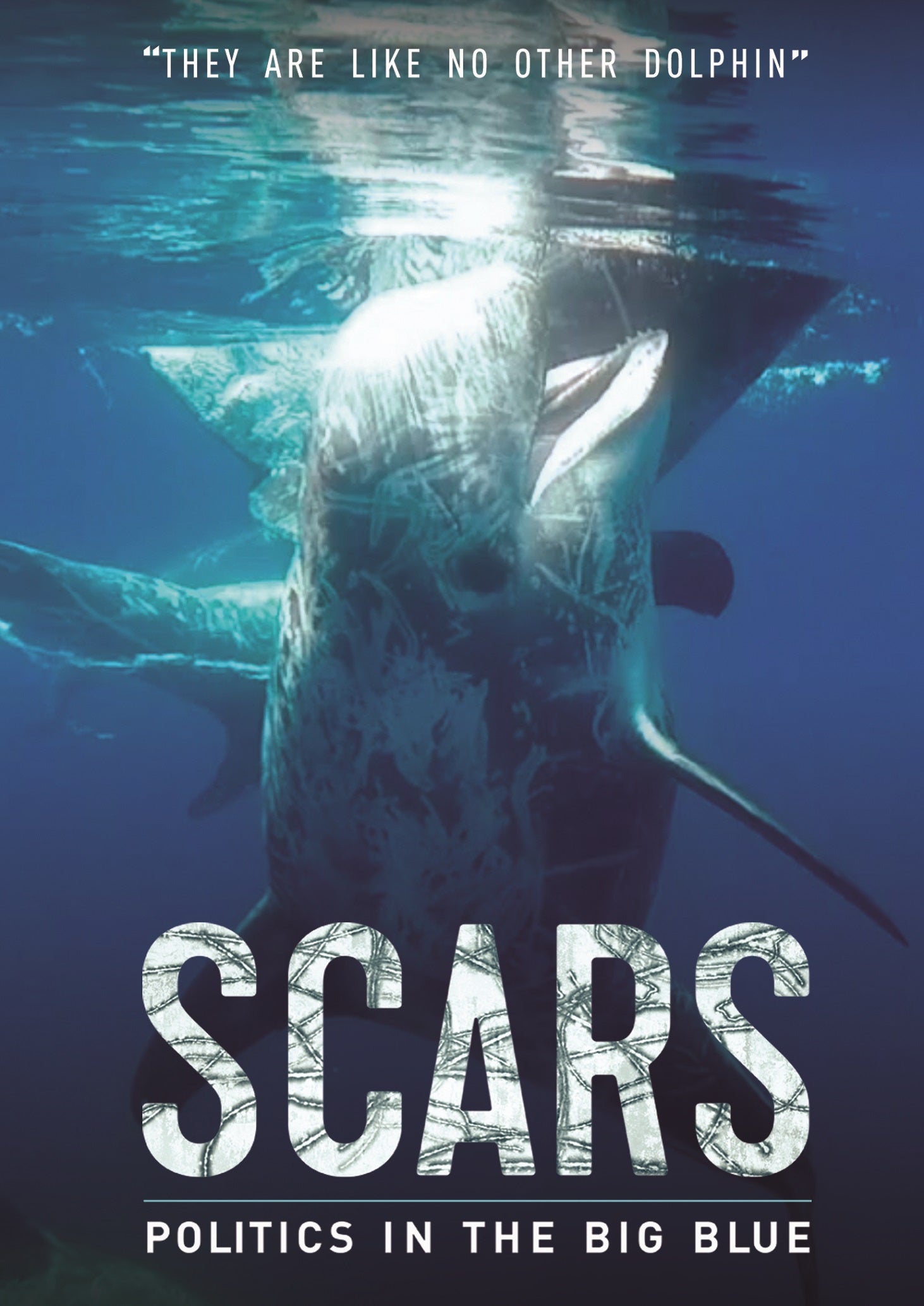 Scars cover art