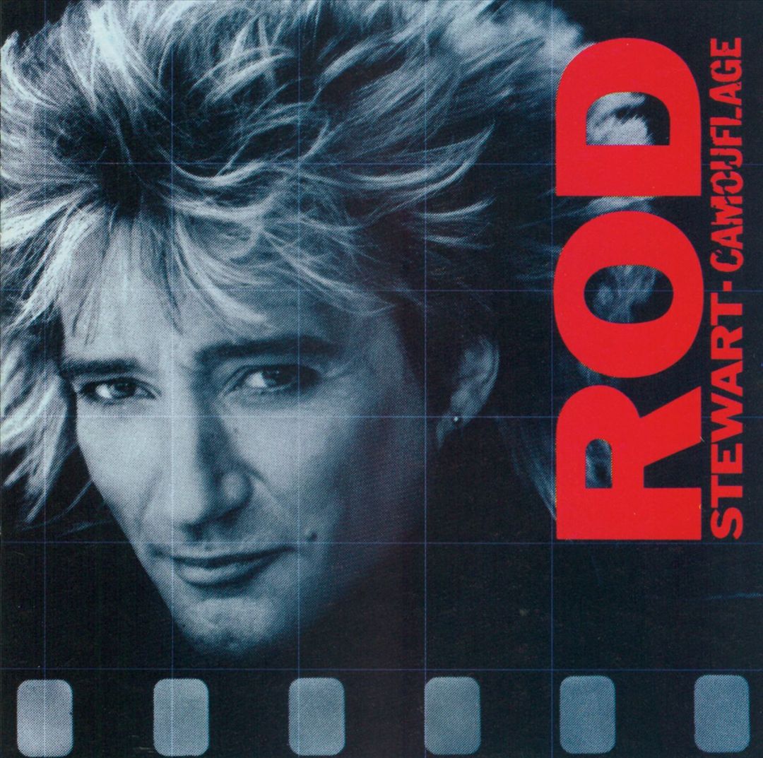 Camouflage cover art