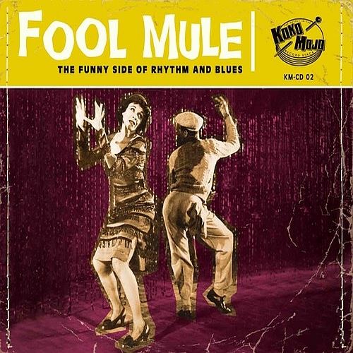 Fool Mule cover art