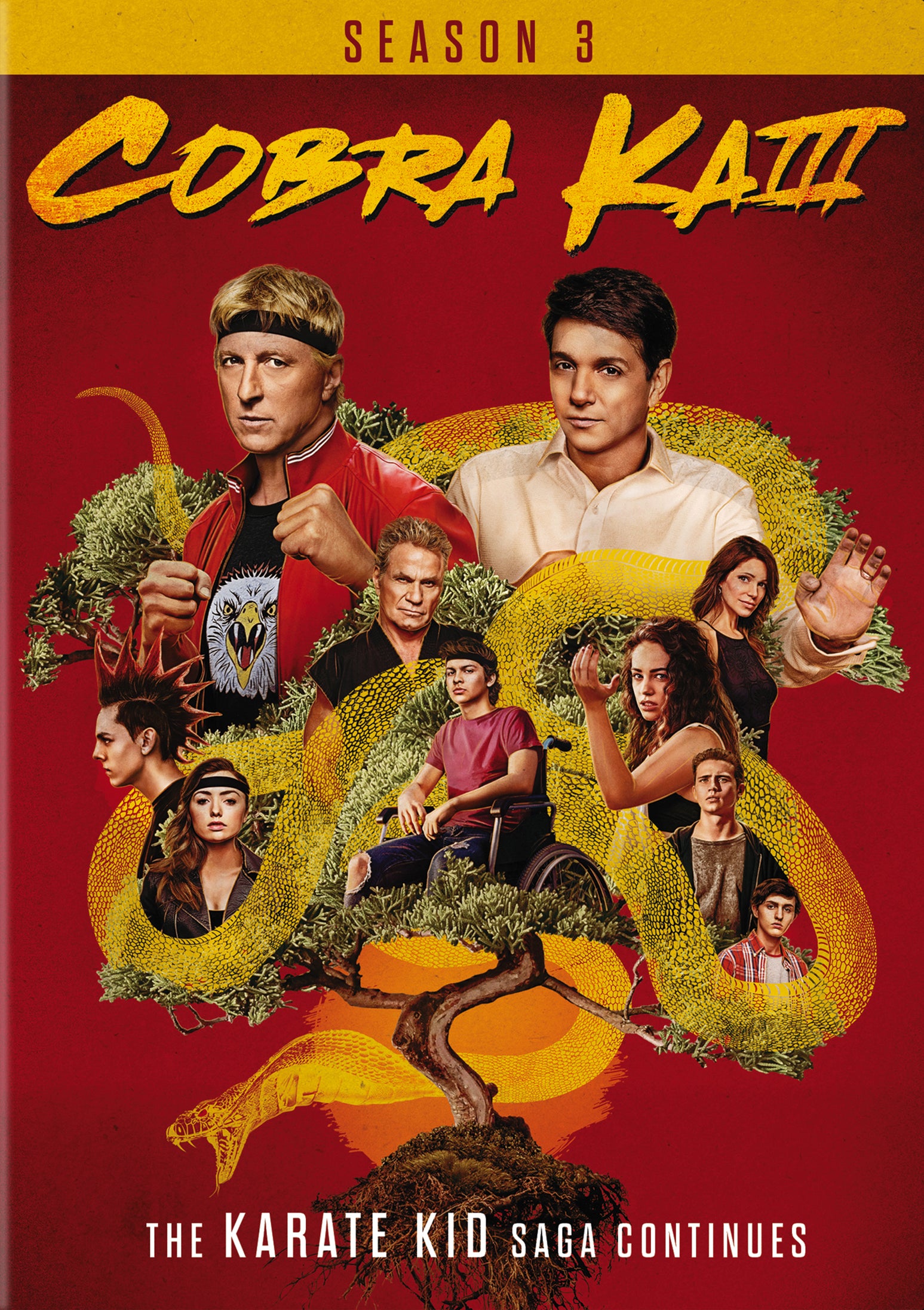 Cobra Kai - Season 3 (2 Disc) - DVD cover art