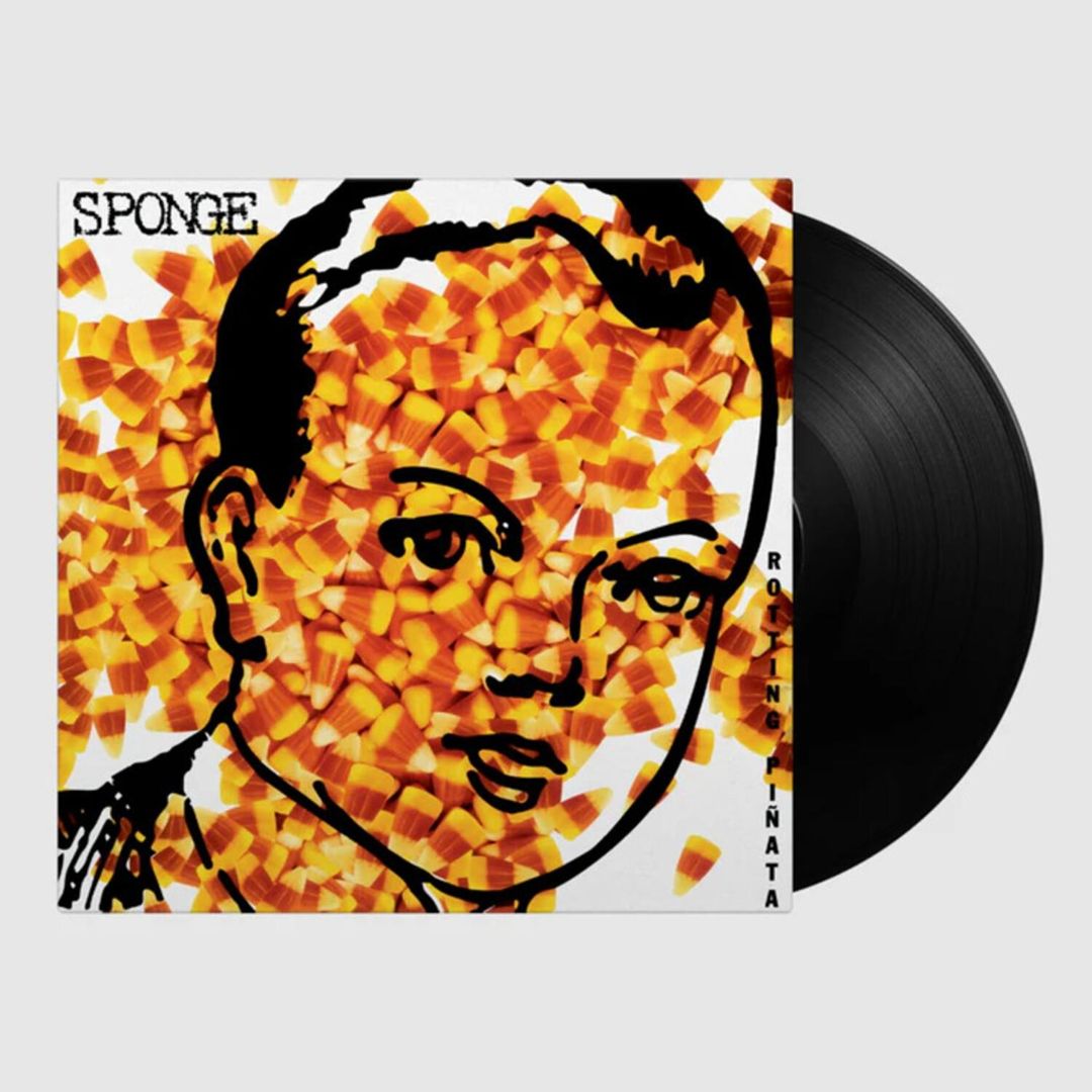 Rotting Pinata [180-Gram Black Vinyl] cover art