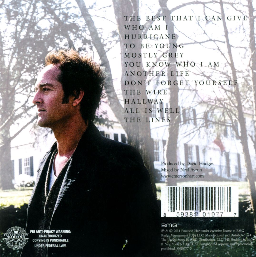 Beauty in Disrepair cover art