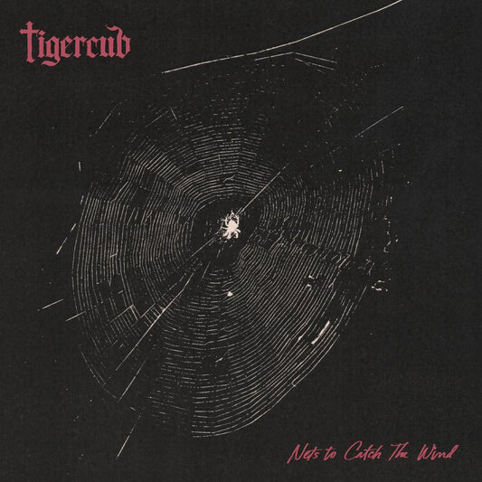 Nets to Catch the Wind cover art