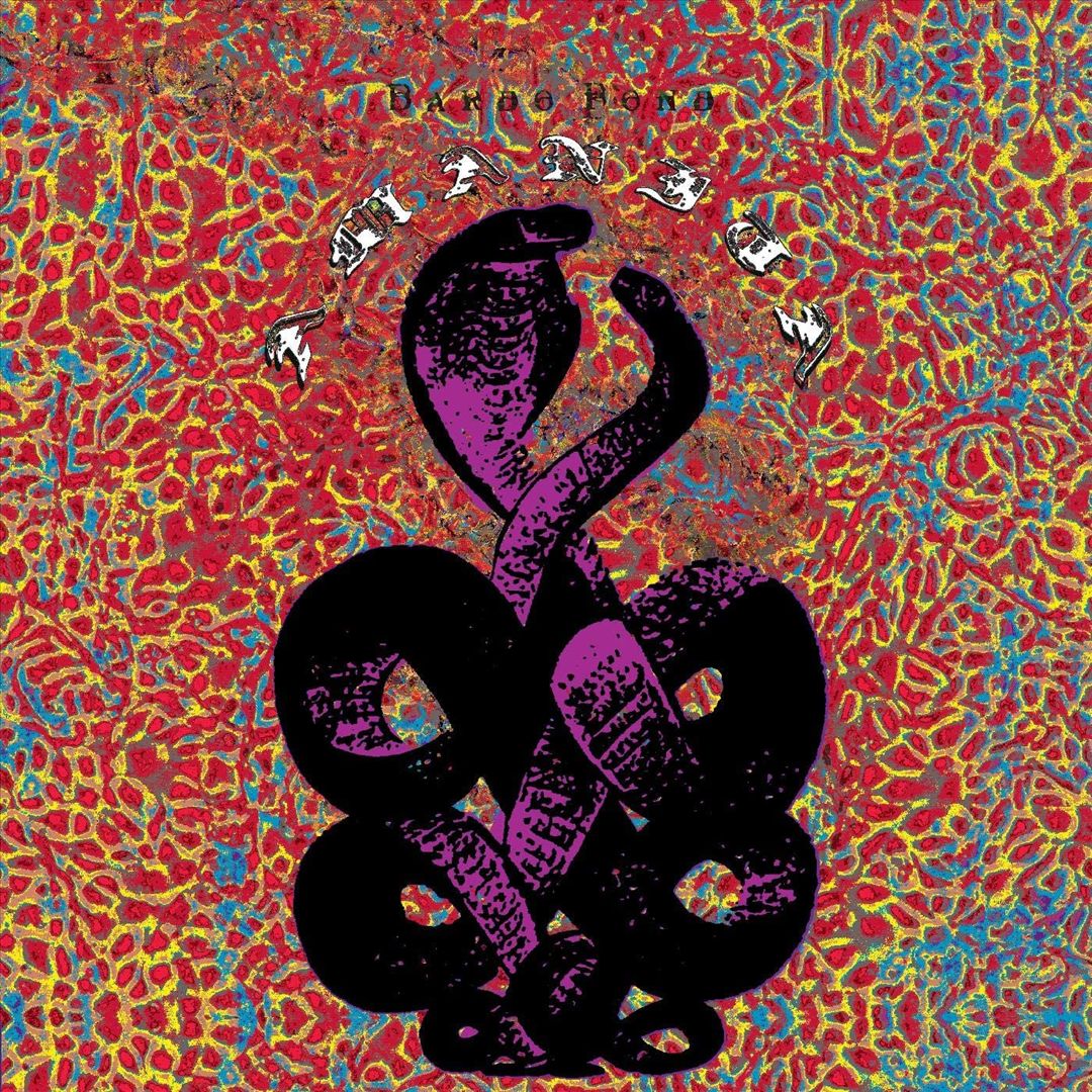 Amanita cover art