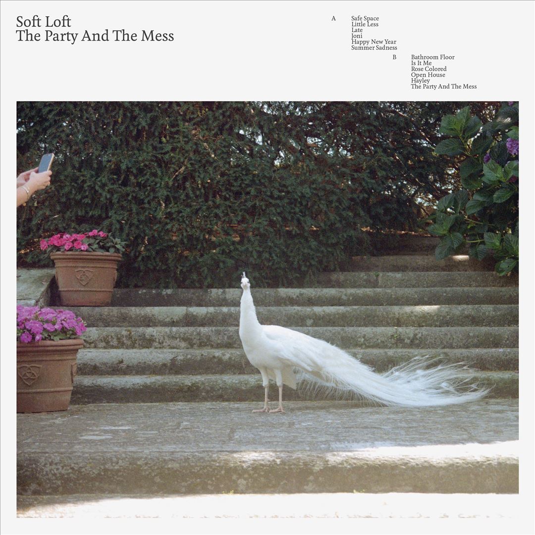 Party and the Mess cover art