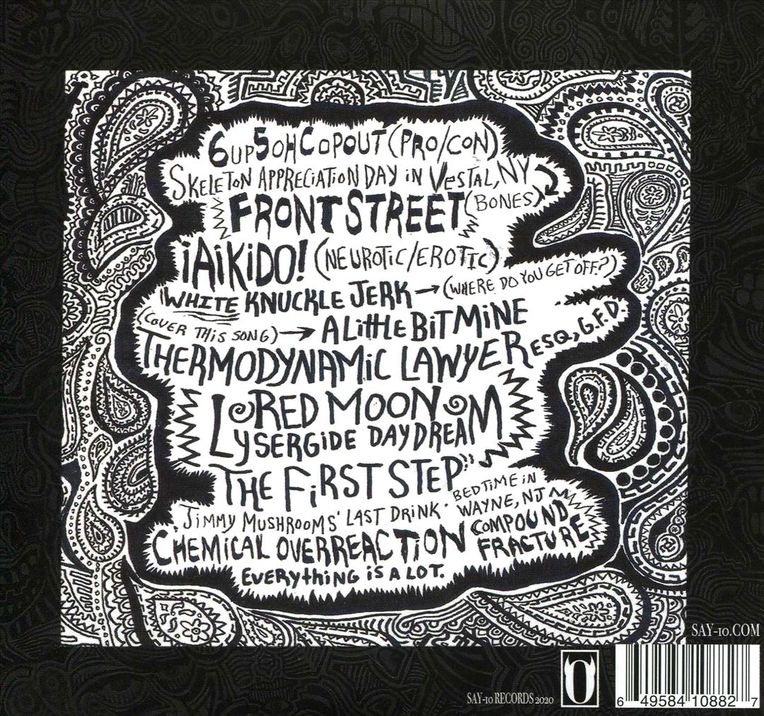 Everything Is a Lot  cover art