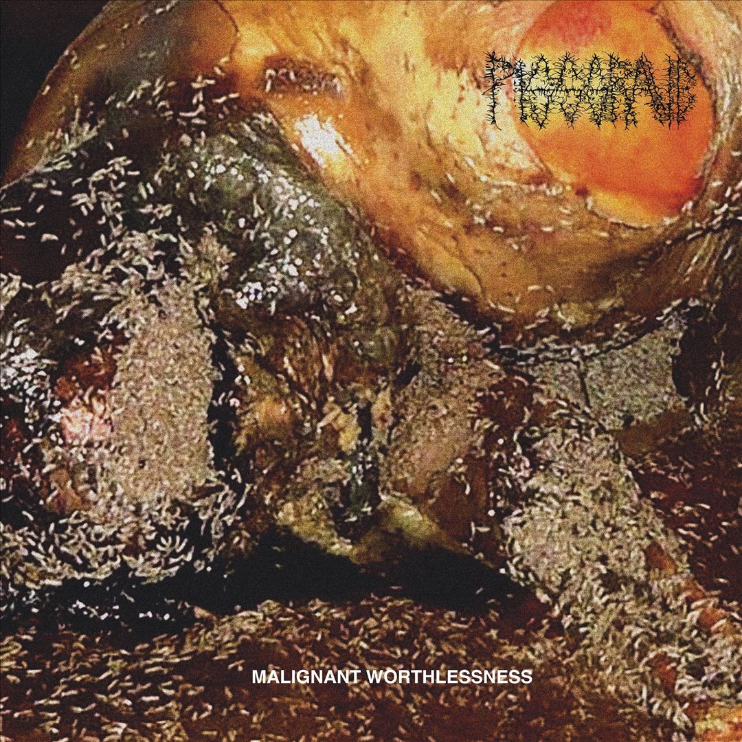 Malignant Worthlessness cover art