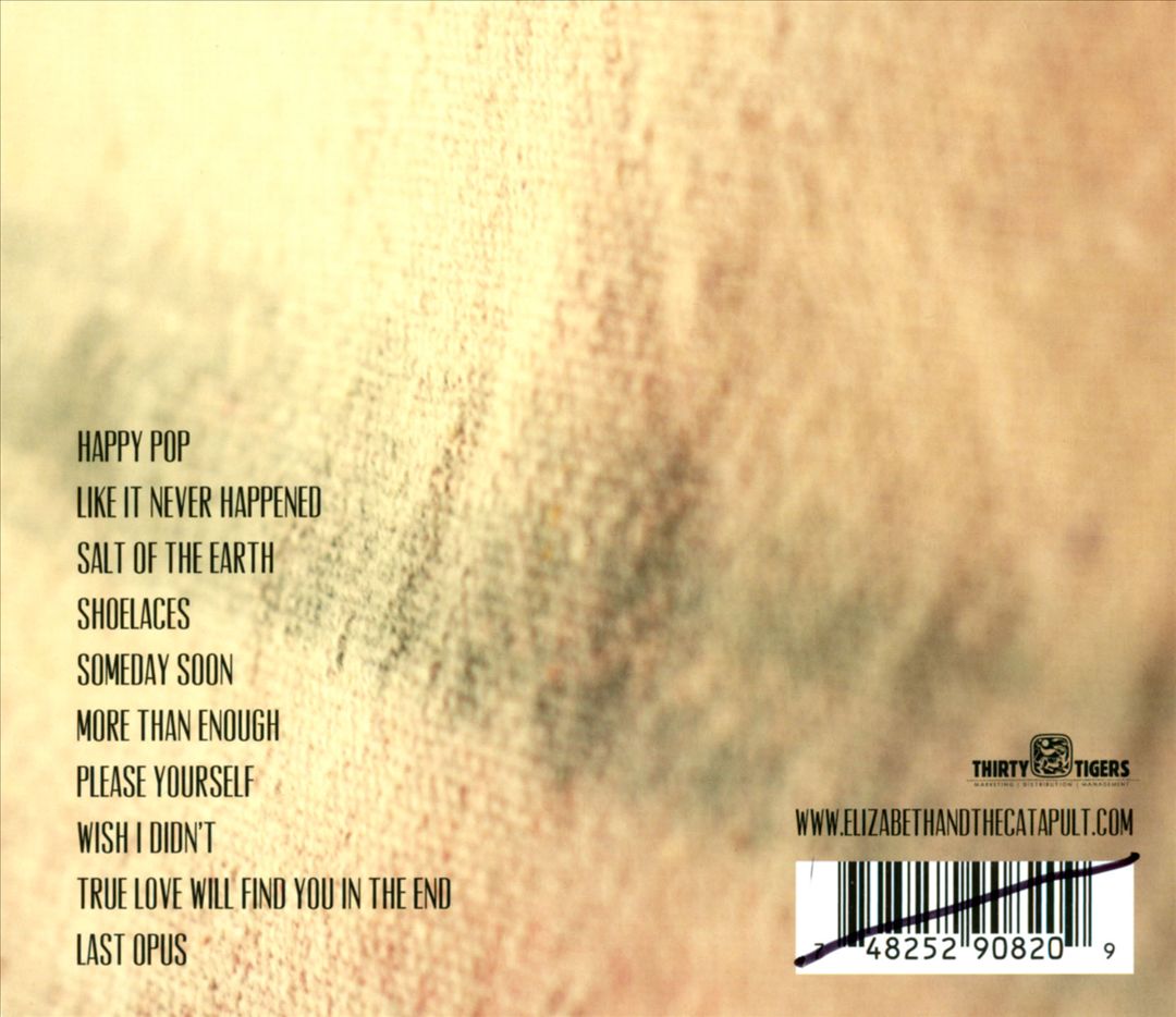 Like It Never Happened cover art