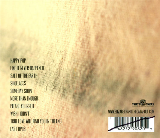 Like It Never Happened cover art
