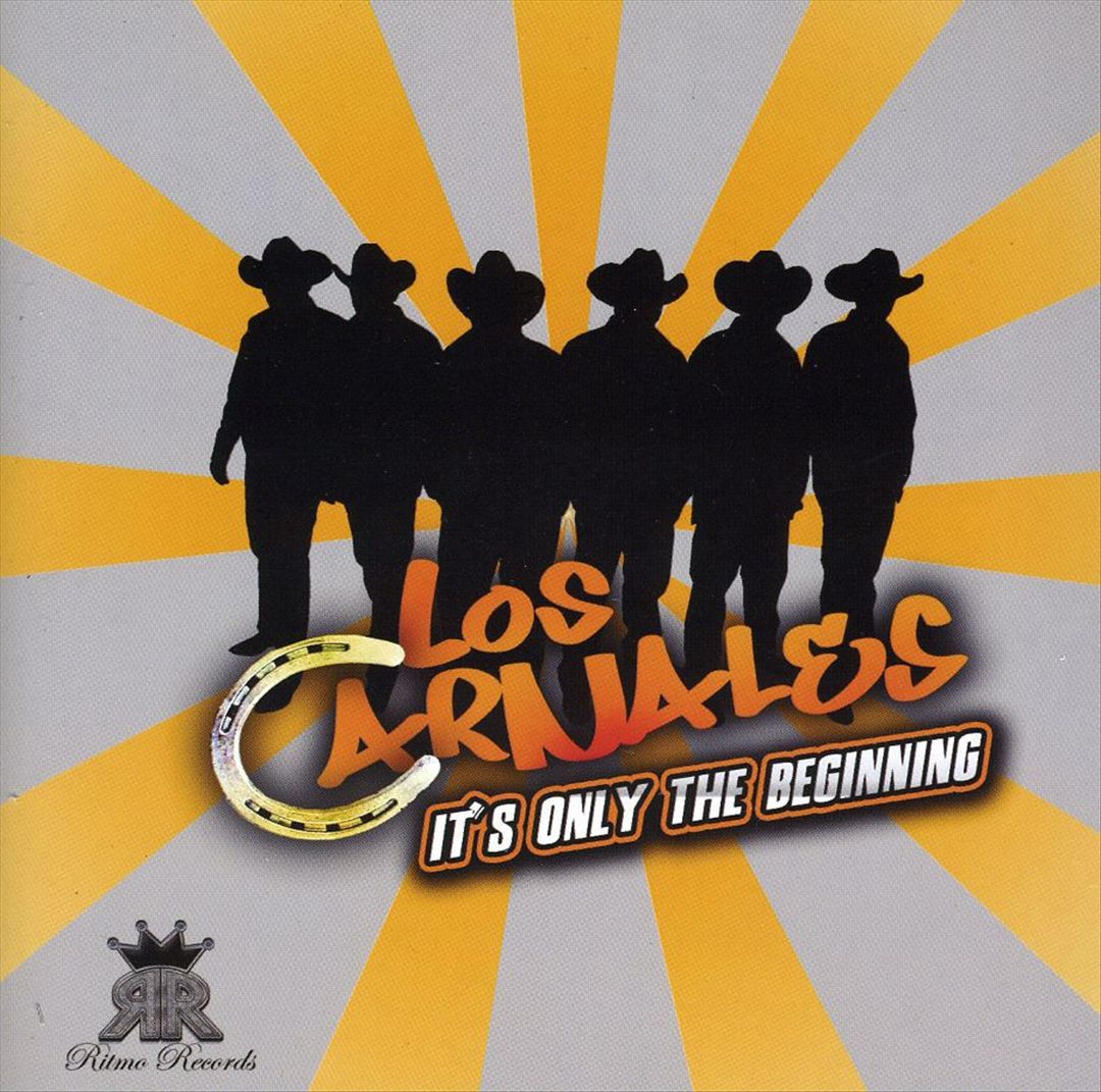 It's Only the Beginning cover art
