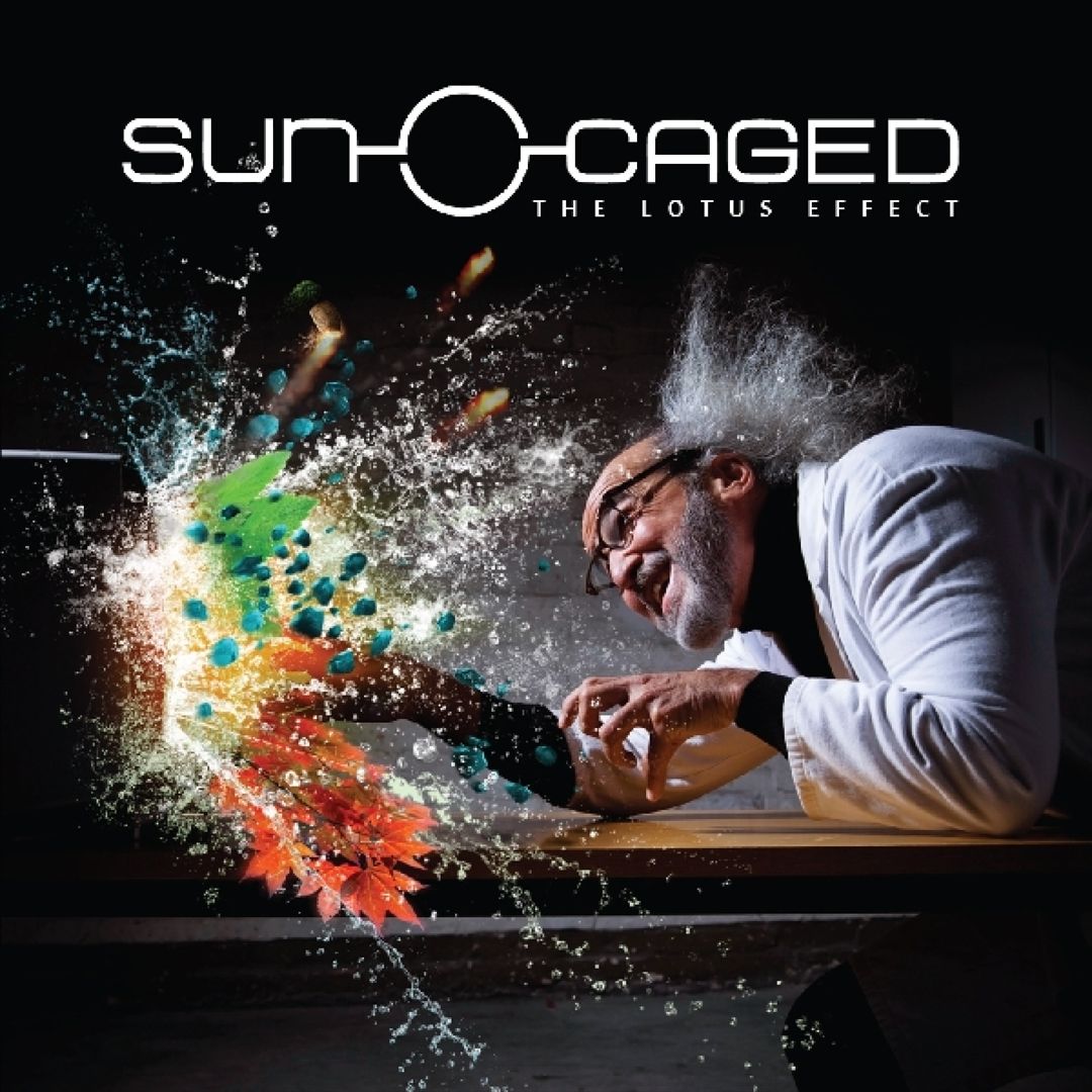 Lotus Effect cover art