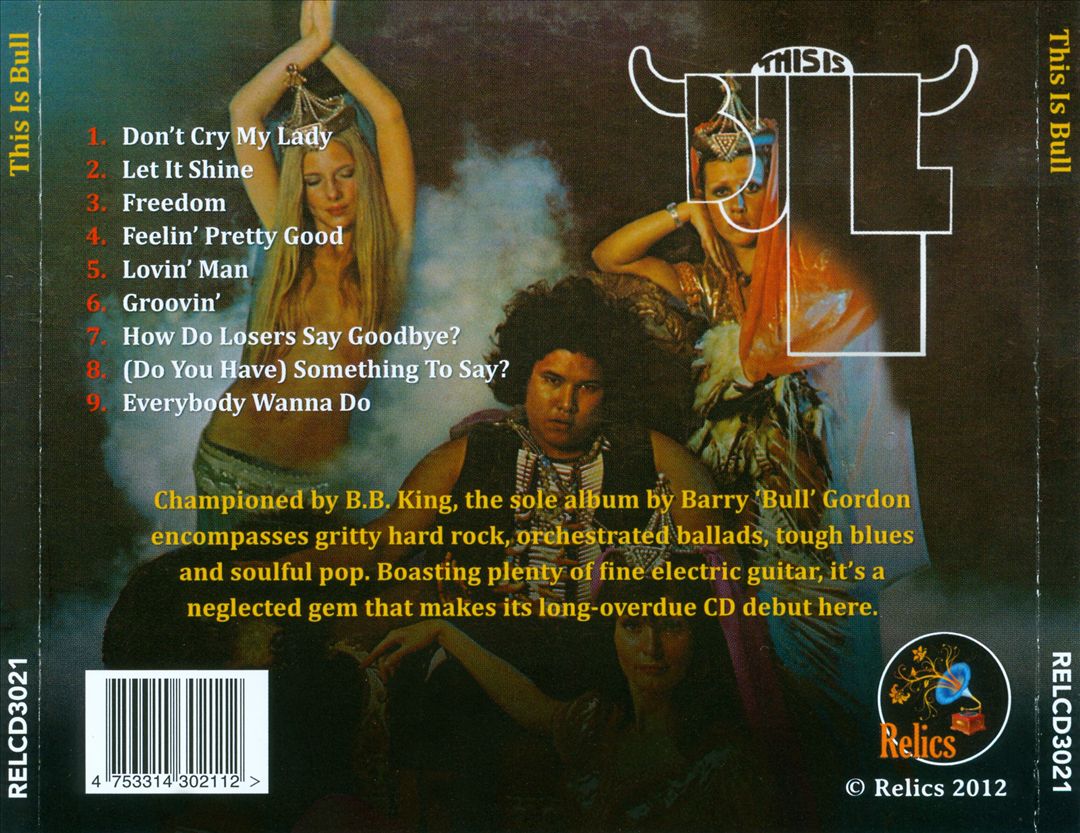 This Is Bull cover art
