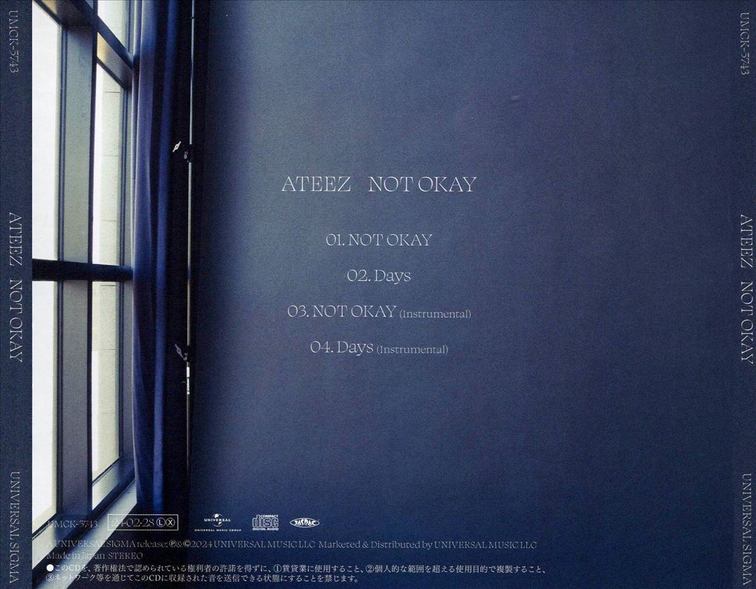 Not Okay cover art