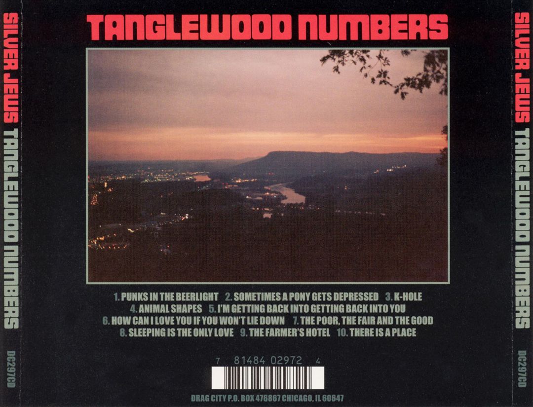 Tanglewood Numbers cover art